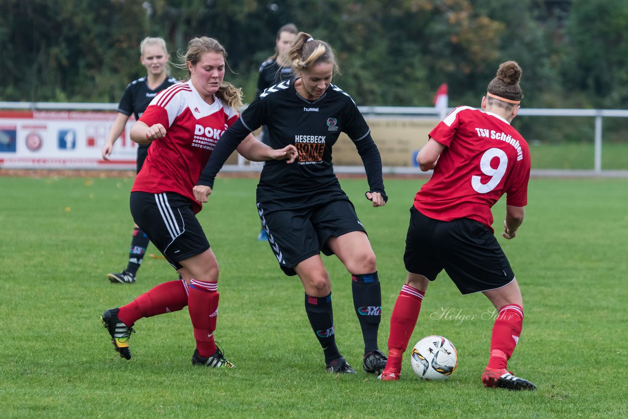 Bild 146 - Frauen TSV Schnberg - SV Henstedt Ulzburg 2 : Ergebnis: 2:6